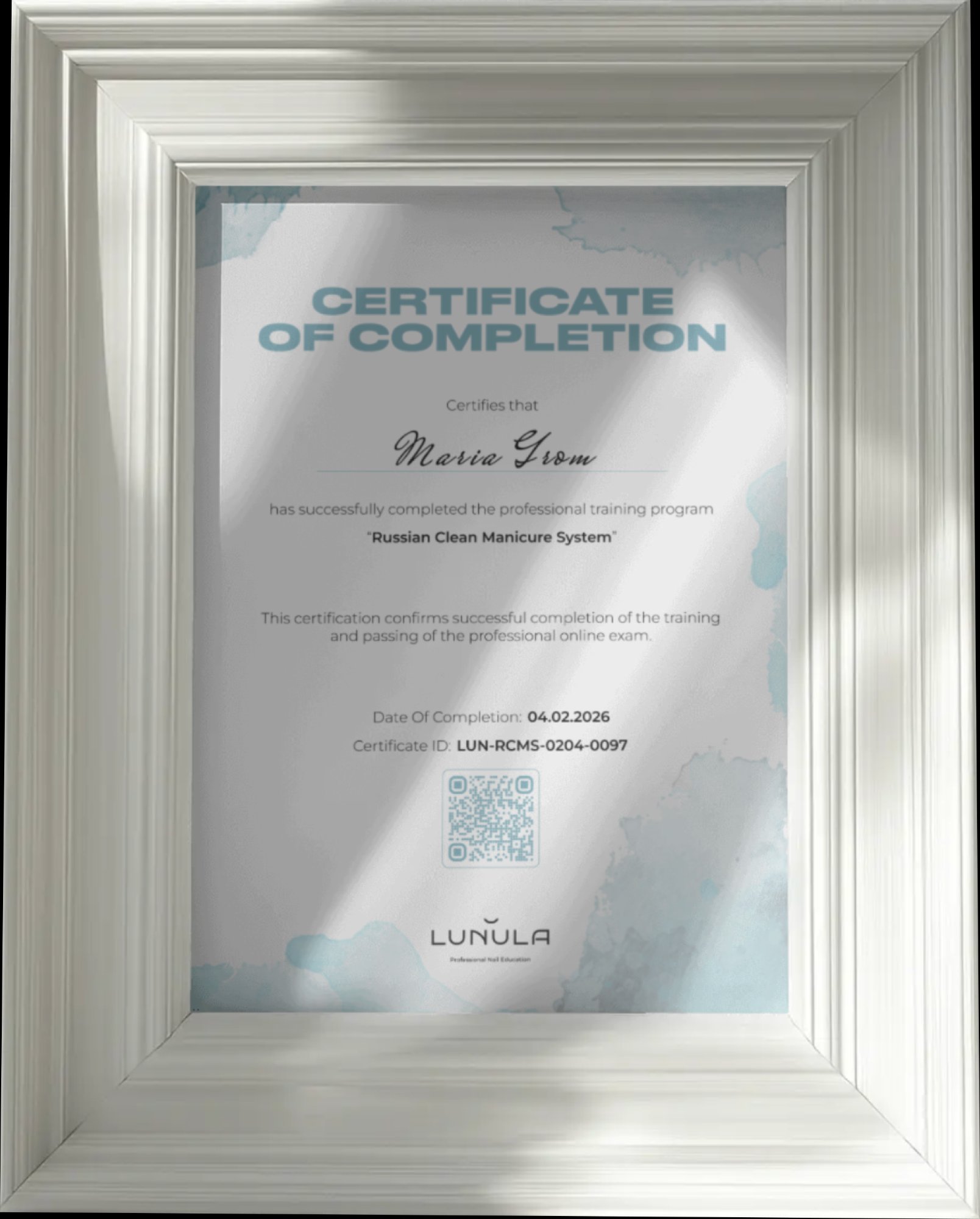 Professional Training Certificate